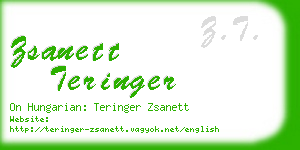 zsanett teringer business card